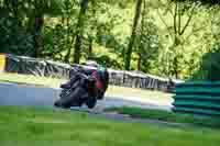 cadwell-no-limits-trackday;cadwell-park;cadwell-park-photographs;cadwell-trackday-photographs;enduro-digital-images;event-digital-images;eventdigitalimages;no-limits-trackdays;peter-wileman-photography;racing-digital-images;trackday-digital-images;trackday-photos